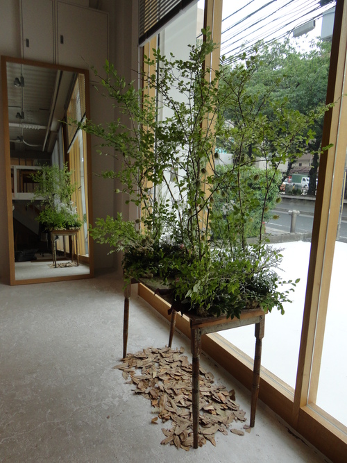 ちいさな森_d0162257_17282824.jpg