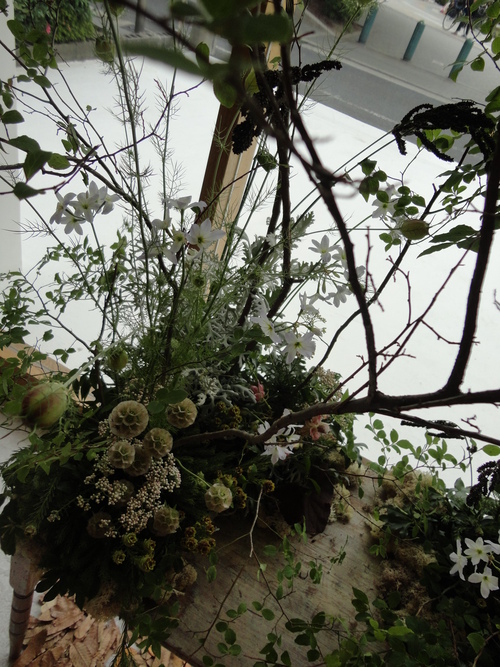 ちいさな森_d0162257_17293662.jpg