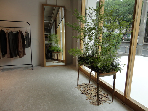 ちいさな森_d0162257_17301257.jpg