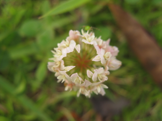 c0185858_164246.jpg