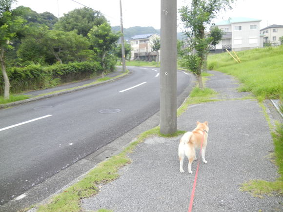 ’13,7,15(月)20年前のエアロバイク!_f0060461_1026385.jpg