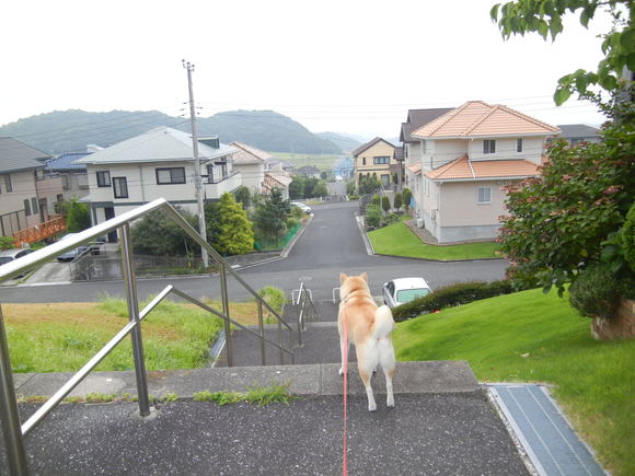 ’13,7,15(月)20年前のエアロバイク!_f0060461_104495.jpg