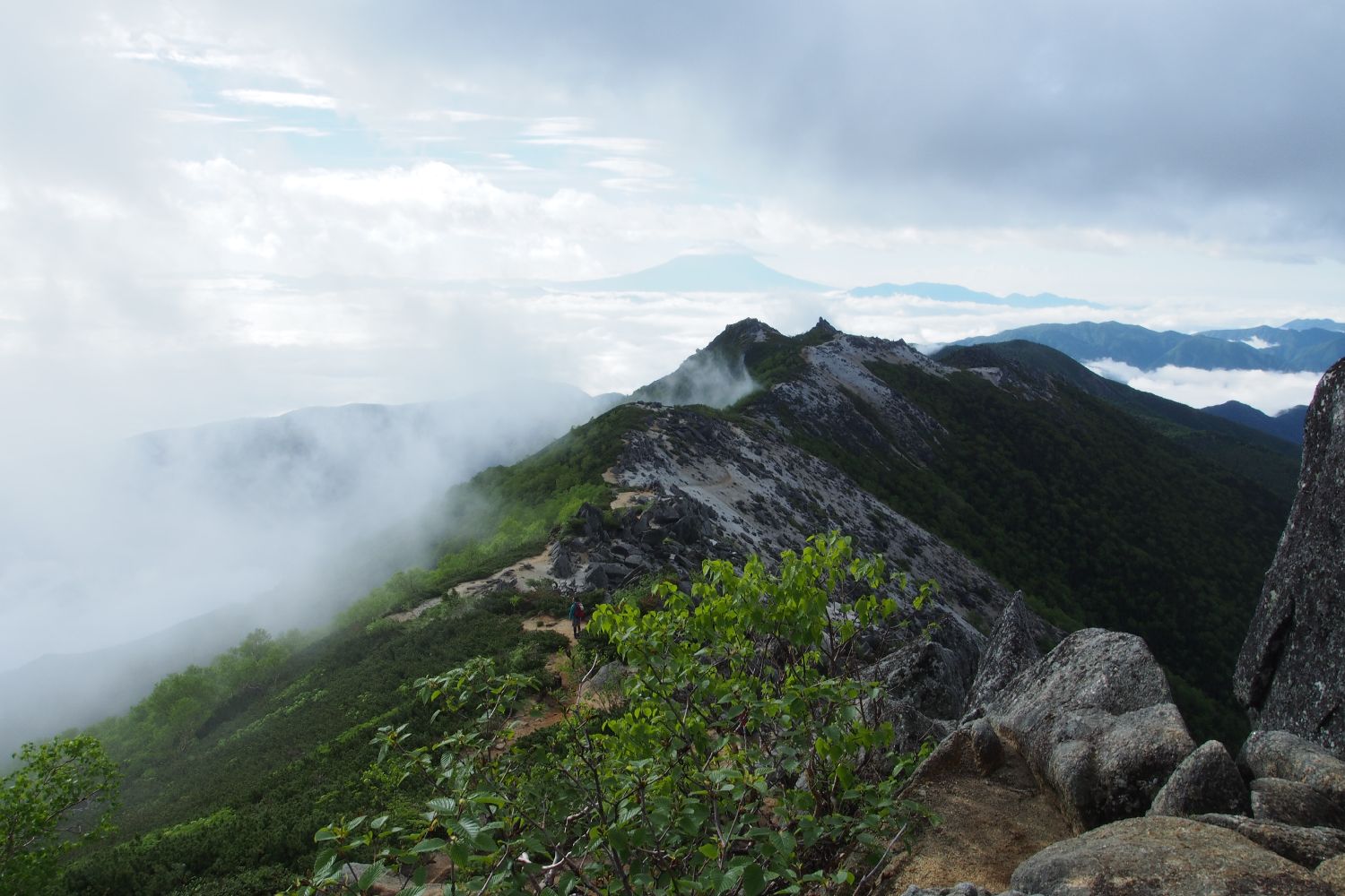 雨の鳳凰三山　returns　後編_e0307372_18122837.jpg