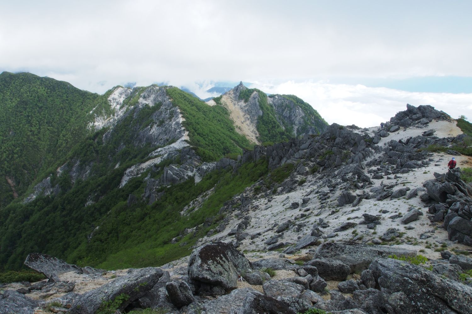 雨の鳳凰三山　returns　後編_e0307372_1851078.jpg