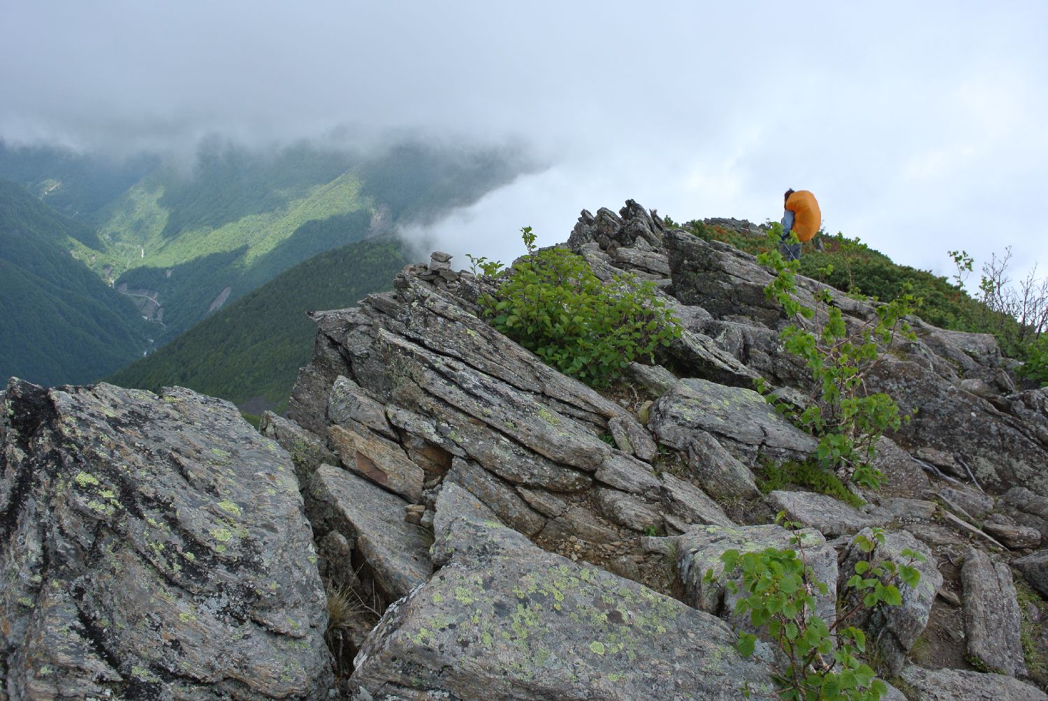 雨の鳳凰三山　returns　後編_e0307372_20474638.jpg