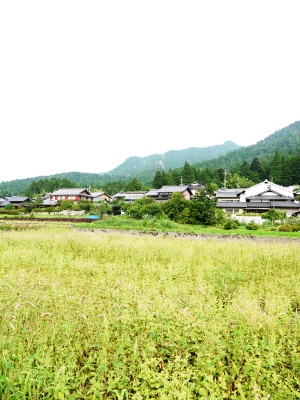 a0219573_1238890.jpg