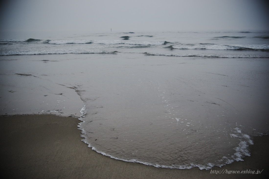 薄磯海岸 _b0191074_14125592.jpg