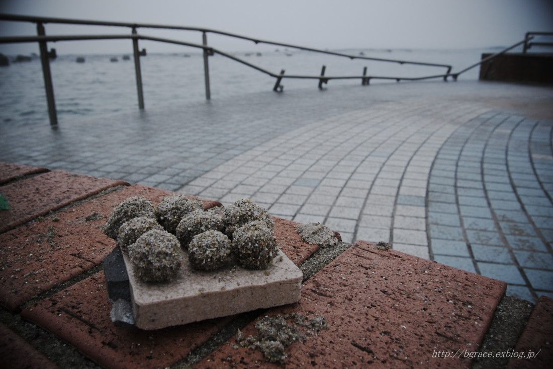 薄磯海岸 _b0191074_1414578.jpg