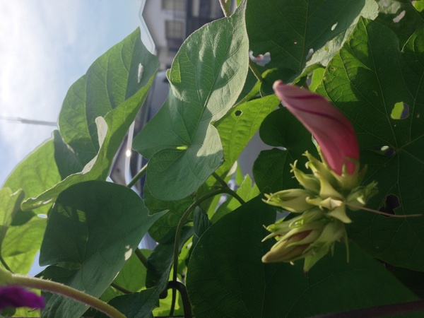 7月13日金曜日_f0278974_21535136.jpg