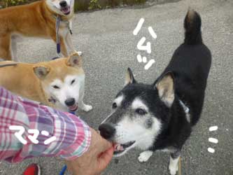 暑いのに。_b0057675_94687.jpg