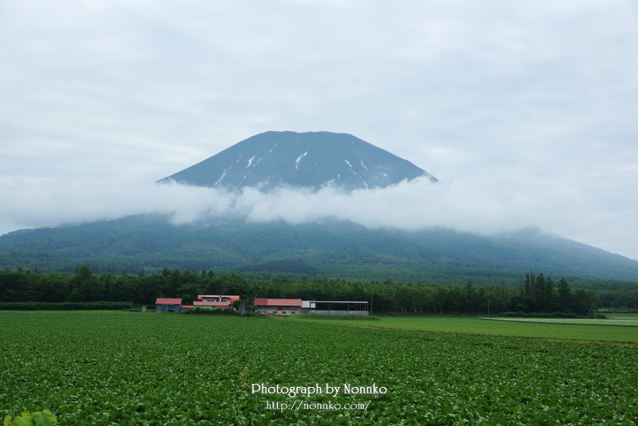 The　羊蹄山_c0106977_1072583.jpg