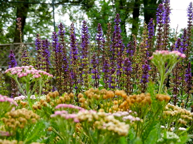 d0260278_1056910.jpg