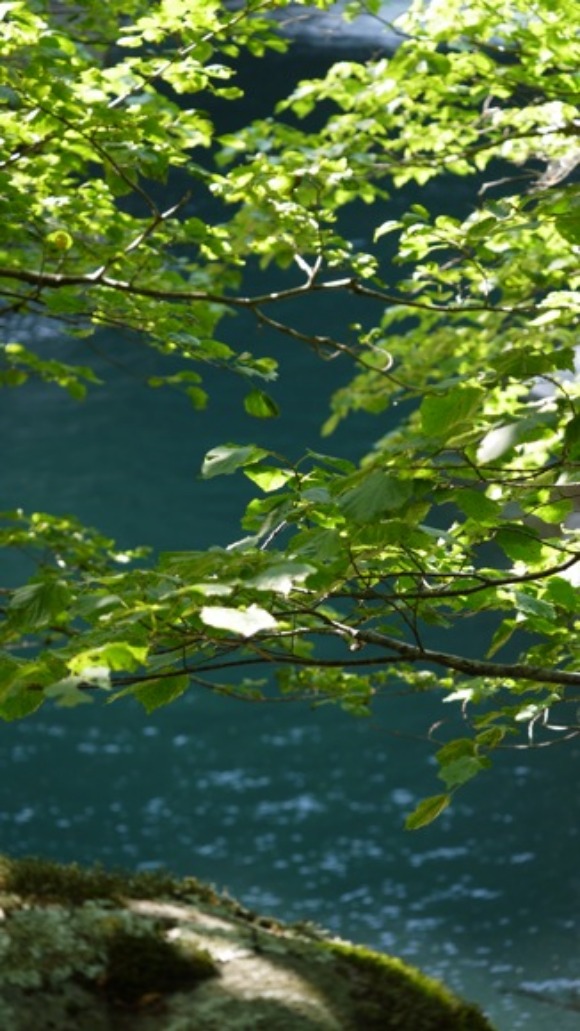 a0278382_7243238.jpg