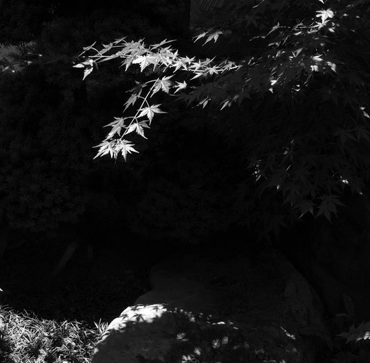 c0229384_23425113.jpg