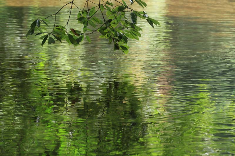 c0177785_521815.jpg