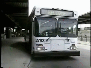 d0098186_1018921.gif