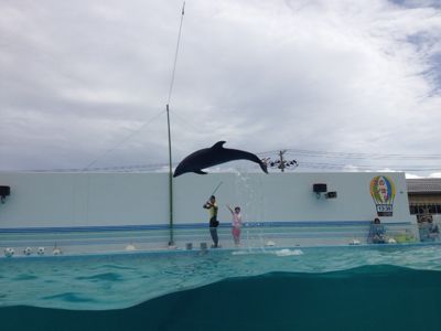 b0213187_17162872.jpg