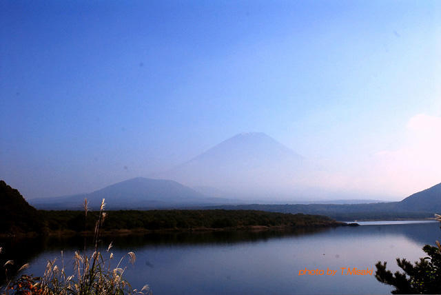 d0085887_18491421.jpg