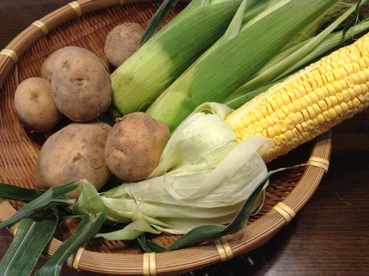 アウトドア気分でワンプレートご飯_c0281888_10284945.jpg