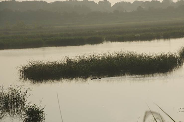 b0217090_6153352.jpg