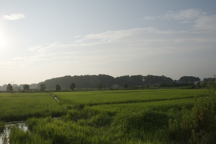 b0217090_64657.jpg