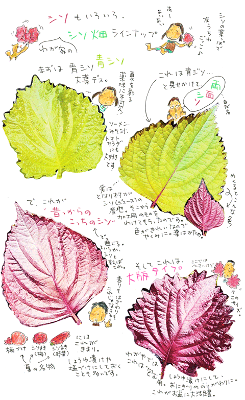 f0236291_13481022.gif