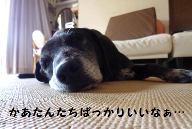 d0282395_8203287.png