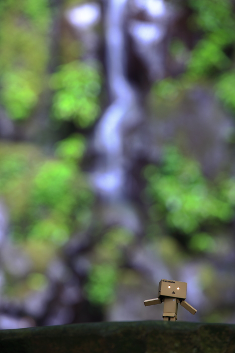 白糸の滝・再訪_e0135098_803683.jpg