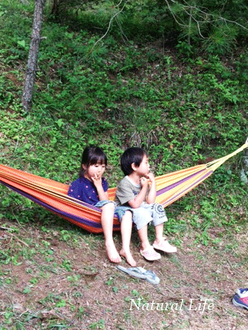 b0162000_10354815.gif