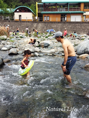 b0162000_10391879.gif