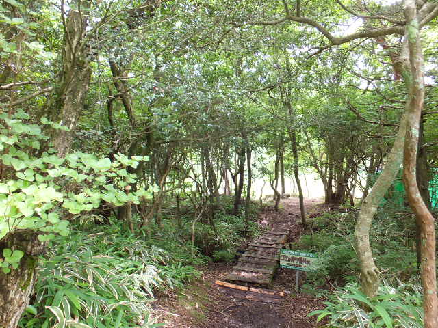 a0271502_14274049.jpg