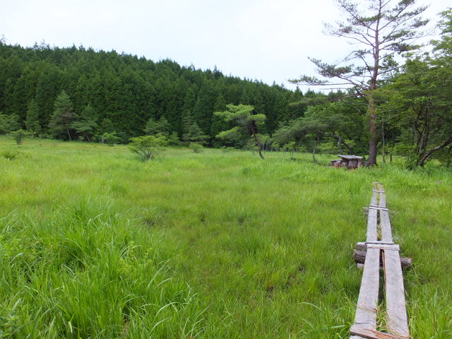 a0271502_15571523.jpg