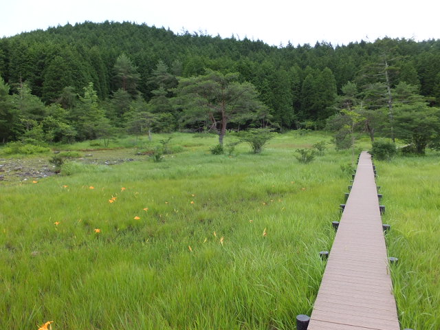 a0271502_15581367.jpg