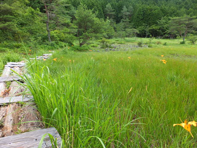 a0271502_19532316.jpg