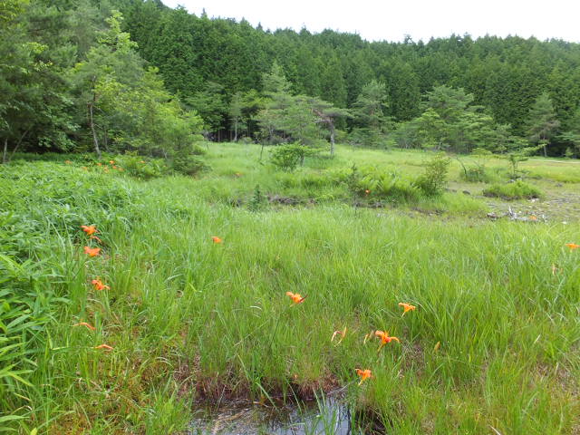 a0271502_19554095.jpg