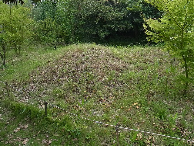 樹木の剪定と築山の草刈りを行いました_b0049307_162339.jpg