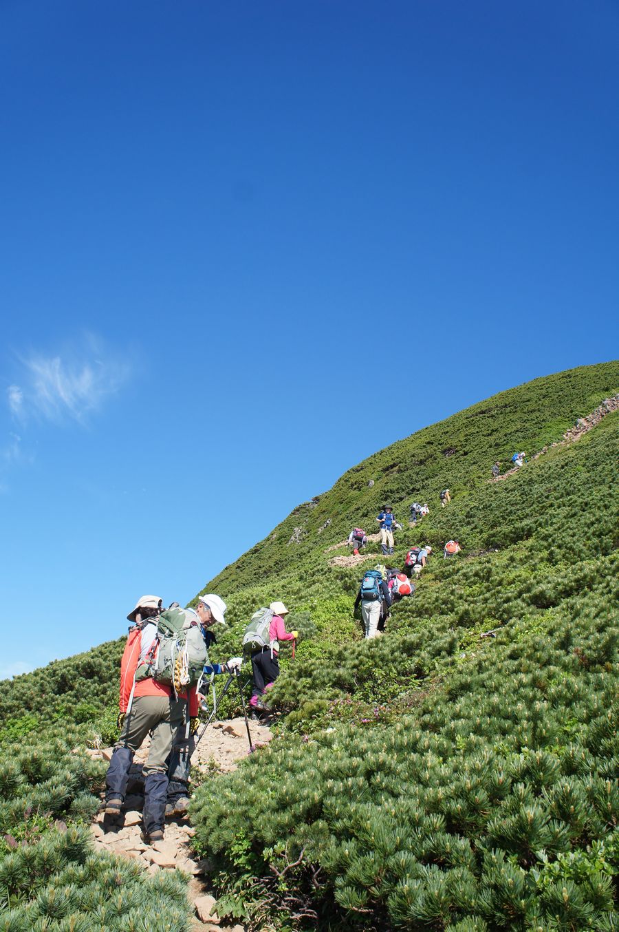a0248508_64536.jpg