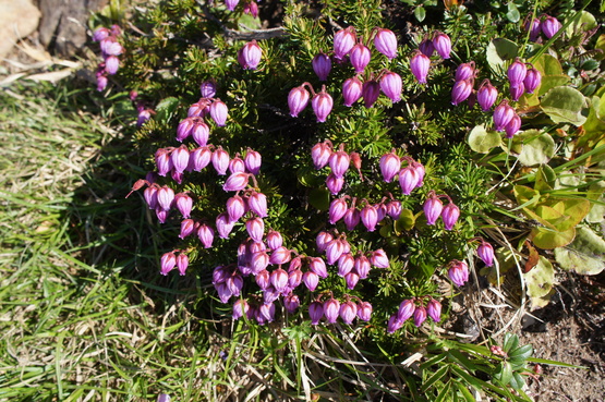a0248508_70295.jpg