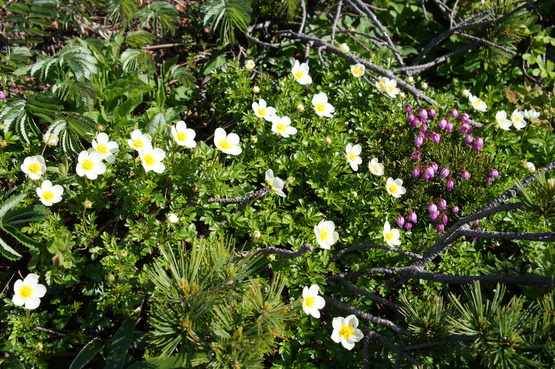 a0248508_705421.jpg