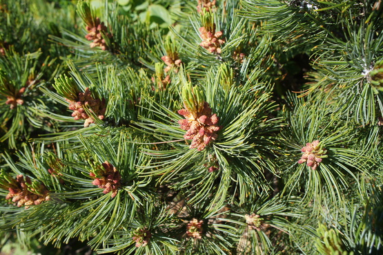 a0248508_74210.jpg