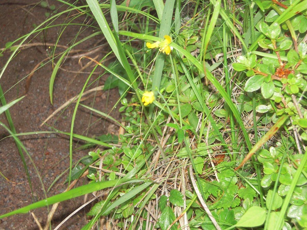 b0277008_10323910.jpg