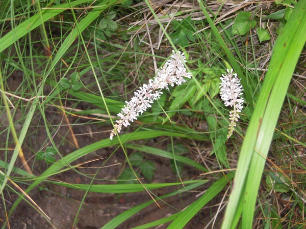 b0277008_1032435.jpg