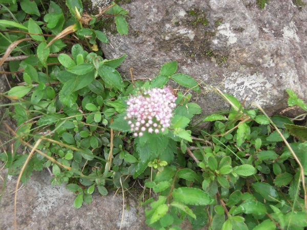 b0277008_10324747.jpg