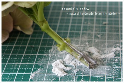 アジサイのドライフラワー ミョウバンを使って Yasumin S Cafe 布もの作家ブログ アジサイのドライフラワー ミョウバンを使って Yasumin S Cafe 布もの作家ブログ