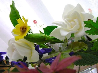 c0248013_20315950.jpg