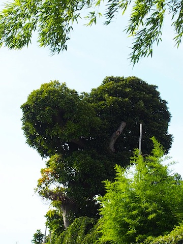c0248013_2045504.jpg