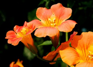 c0248013_205177.jpg
