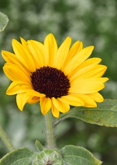 c0248013_20551441.jpg