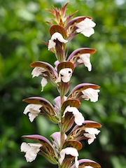 c0248013_2114435.jpg