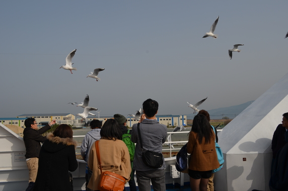 a0201316_13404121.jpg